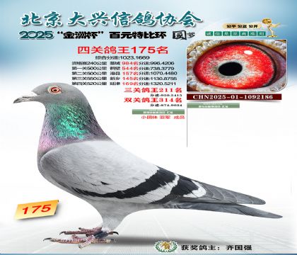 ��Ԫ�ر��Ĺظ���175��