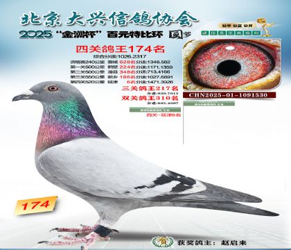 ��Ԫ�ر��Ĺظ���174��