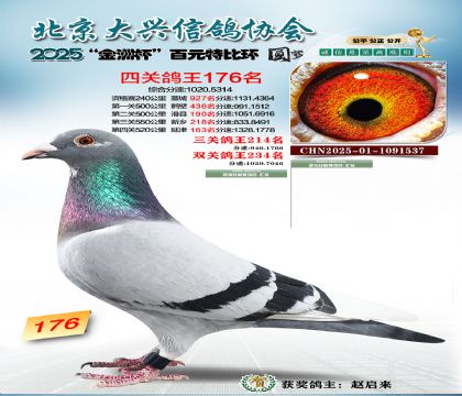 ��Ԫ�ر��Ĺظ���176��