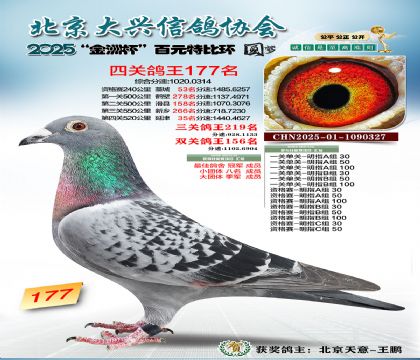 ��Ԫ�ر��Ĺظ���177��