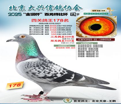 ��Ԫ�ر��Ĺظ���178��