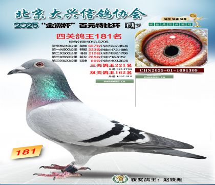 ��Ԫ�ر��Ĺظ���181��