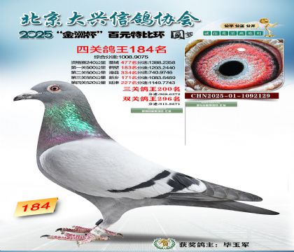 ��Ԫ�ر��Ĺظ���184��