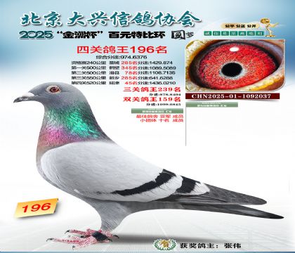 ��Ԫ�ر��Ĺظ���196��