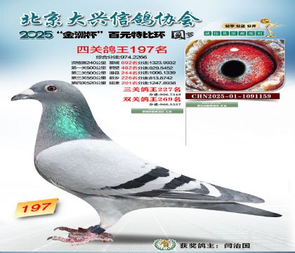 ��Ԫ�ر��Ĺظ���197��