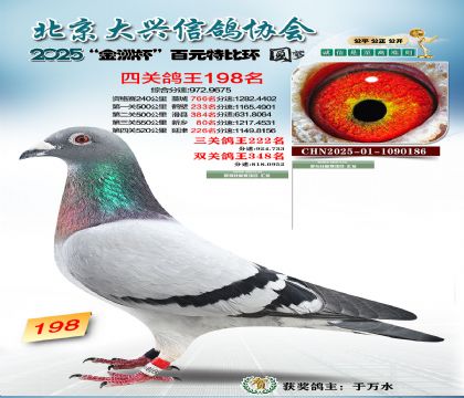 ��Ԫ�ر��Ĺظ���198��