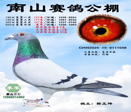 500公里决赛季军,三关综合鸽王10名