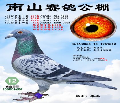 500公里决赛12名