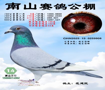 500公里决赛14名