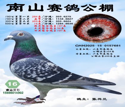 500公里决赛16名