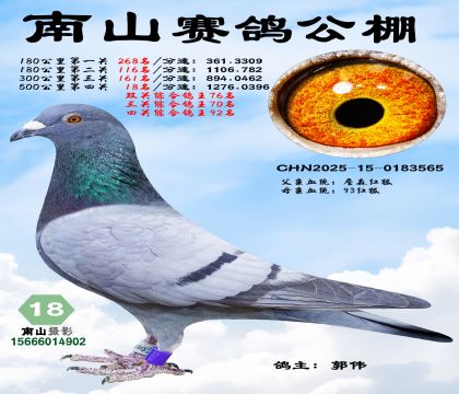 500公里决赛18名