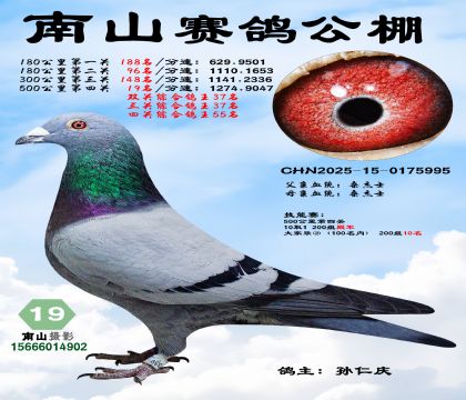 500公里决赛19名