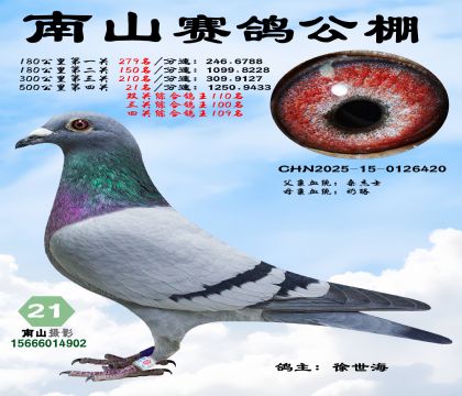 500公里决赛21名