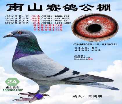 500公里决赛24名