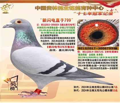 父:376万新闪电直子