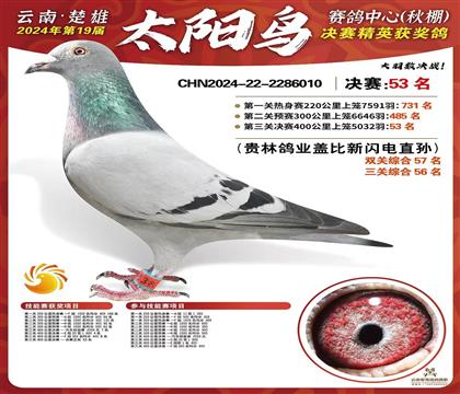 孙代:太阳鸟公棚53名