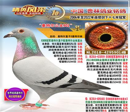 母:基特尔孙女.5251羽冠军