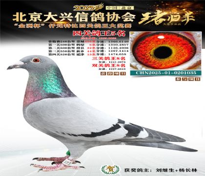 ǧԪ�ر��Ĺظ���5��