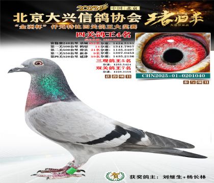 ǧԪ�ر��Ĺظ���4��