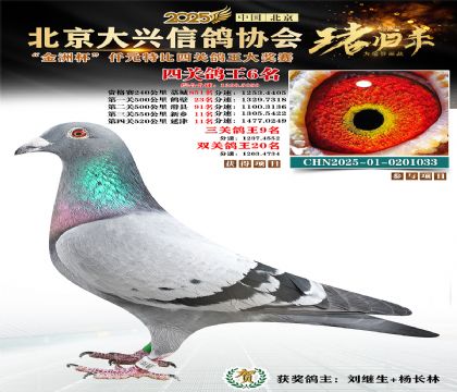 ǧԪ�ر��Ĺظ���6��