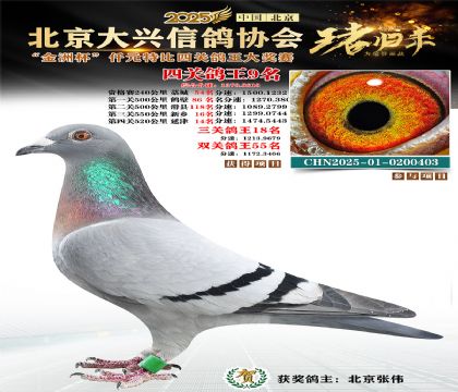 ǧԪ�ر��Ĺظ���9��