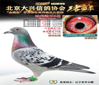 ǧԪ�ر��Ĺظ���8��