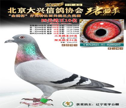 ǧԪ�ر��Ĺظ���10��