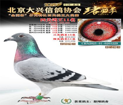 ǧԪ�ر��Ĺظ���11��