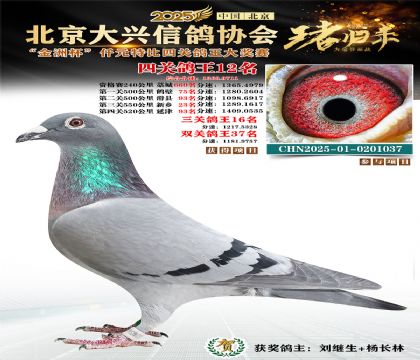 ǧԪ�ر��Ĺظ���12��