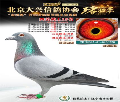 ǧԪ�ر��Ĺظ���13��