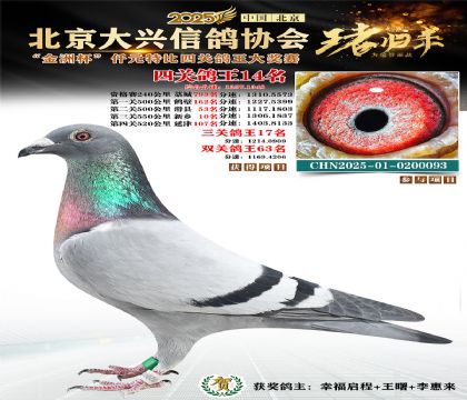 ǧԪ�ر��Ĺظ���14��