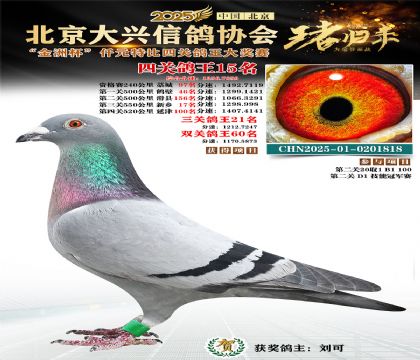 ǧԪ�ر��Ĺظ���15��