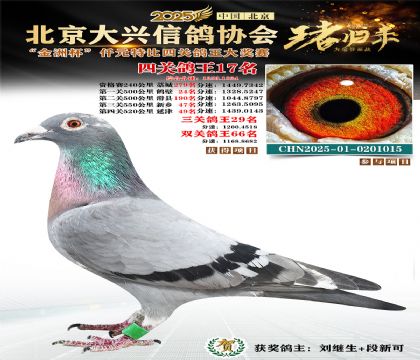 ǧԪ�ر��Ĺظ���17��