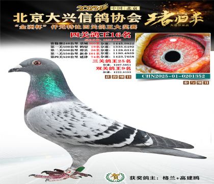 ǧԪ�ر��Ĺظ���16��