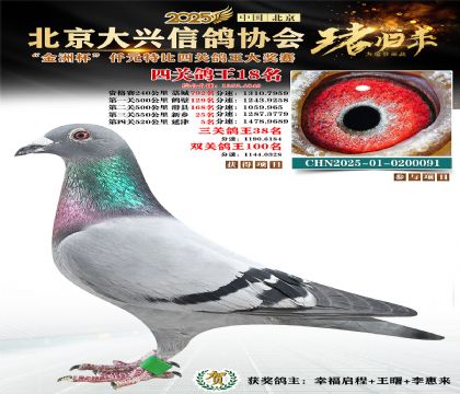 ǧԪ�ر��Ĺظ���18��