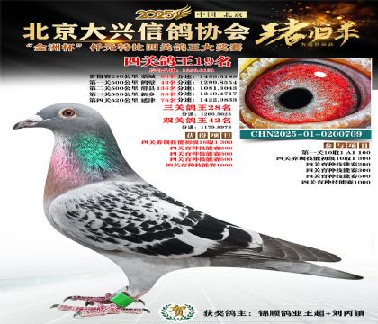 ǧԪ�ر��Ĺظ���19��