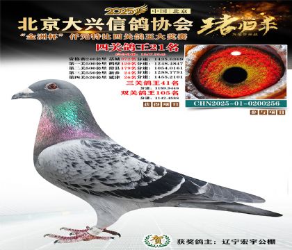 ǧԪ�ر��Ĺظ���21��