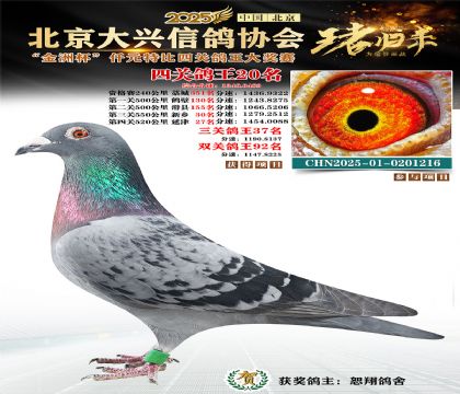 ǧԪ�ر��Ĺظ���20��