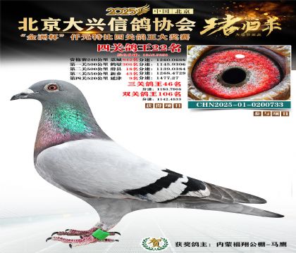 ǧԪ�ر��Ĺظ���22��