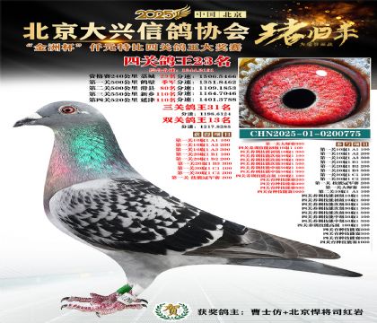 ǧԪ�ر��Ĺظ���23��