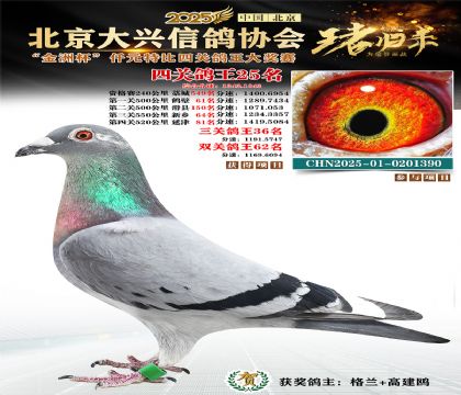 ǧԪ�ر��Ĺظ���25��