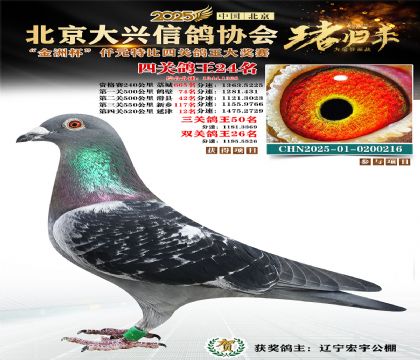 ǧԪ�ر��Ĺظ���24��