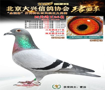 ǧԪ�ر��Ĺظ���26��