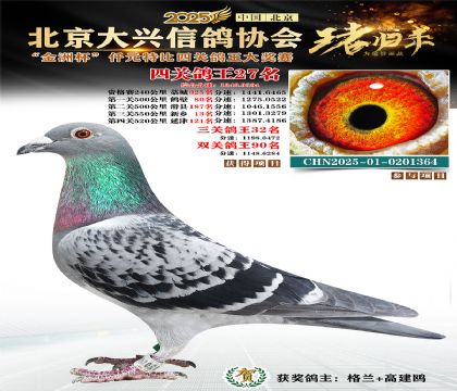 ǧԪ�ر��Ĺظ���27��