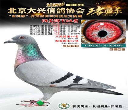 ǧԪ�ر��Ĺظ���28��