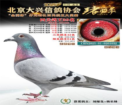 ǧԪ�ر��Ĺظ���29��