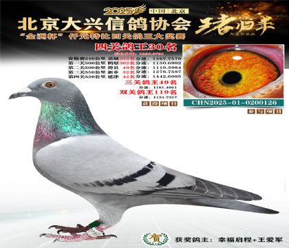 ǧԪ�ر��Ĺظ���30��