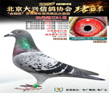 ǧԪ�ر��Ĺظ���31��