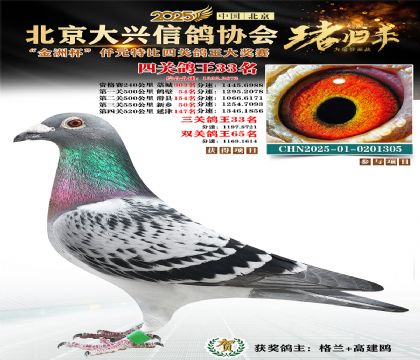 ǧԪ�ر��Ĺظ���33��