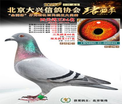 ǧԪ�ر��Ĺظ���34��